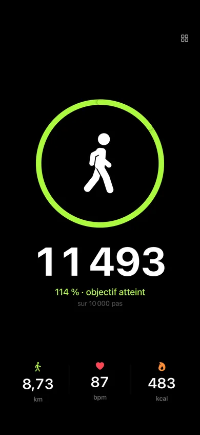 Full-screen mode (shown in French): full green ring, white walker, 11,493 steps, 114% of the 10,000-step goal